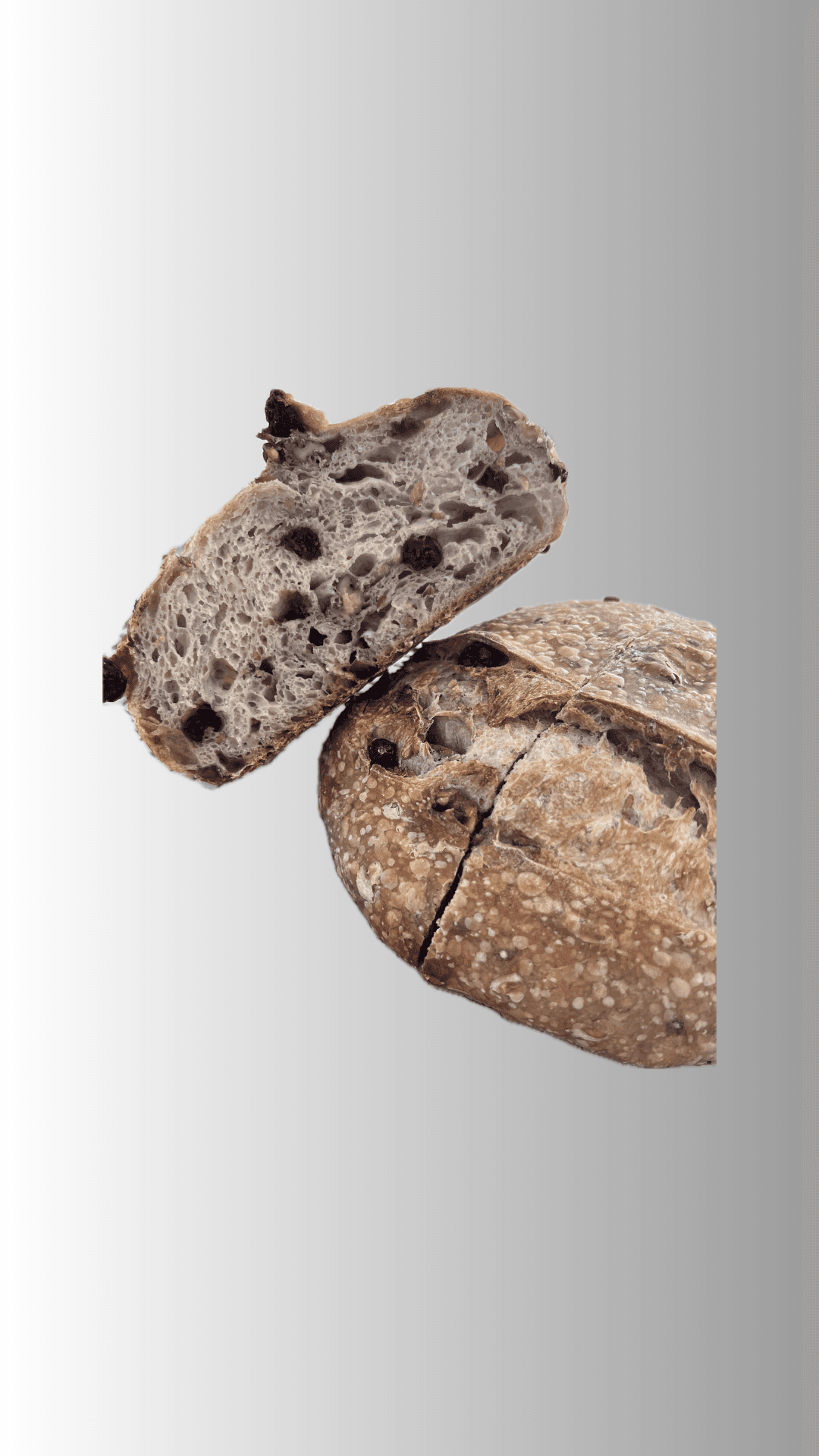 Cranberry & Walnut Sourdough